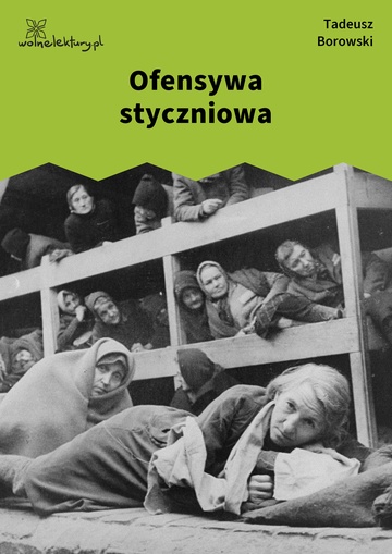 Ofensywa styczniowa