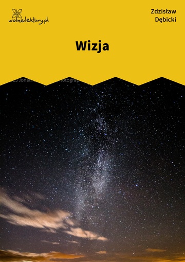 Wizja