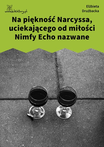 Elżbieta Drużbacka, Wiersze światowe, Na piękność Narcyssa, uciekającego od miłości Nimfy Echo nazwane