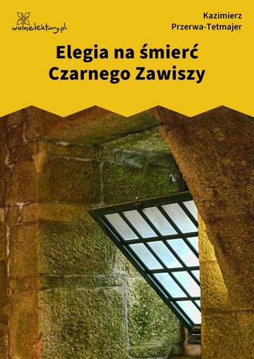 Kazimierz Przerwa-Tetmajer, Elegia na śmierć Czarnego Zawiszy