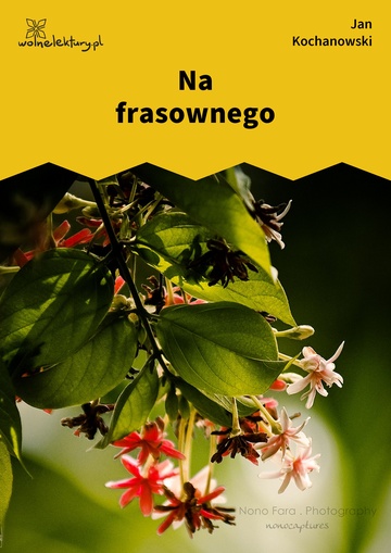 Na frasownego