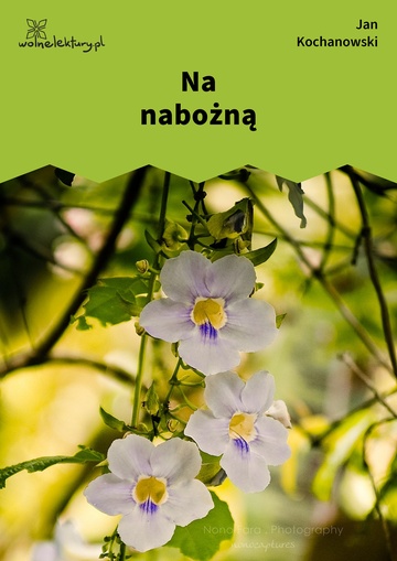 Na nabożną