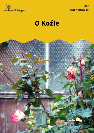 O Koźle