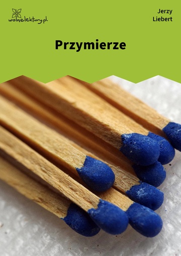 Przymierze