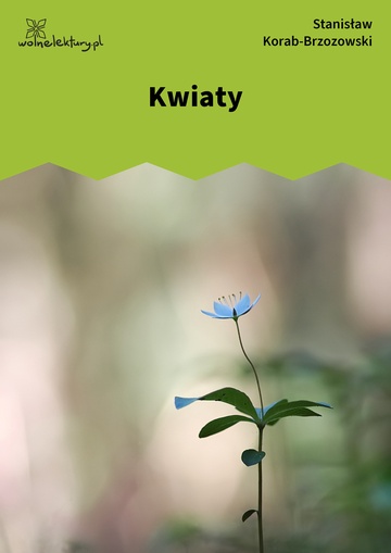 Kwiaty