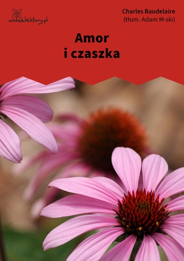 Charles Baudelaire, Kwiaty zła, Amor i czaszka