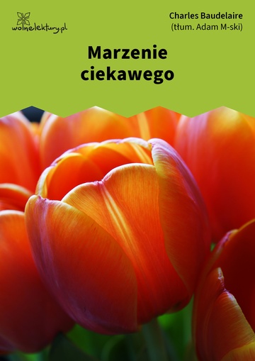 Marzenie ciekawego