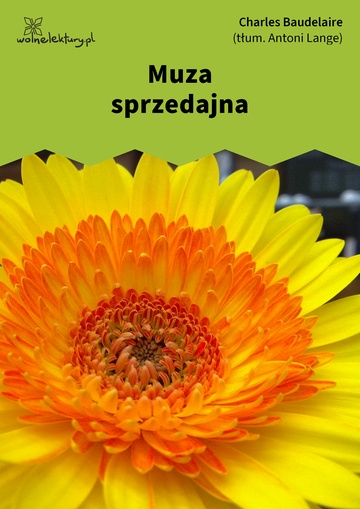 Muza sprzedajna