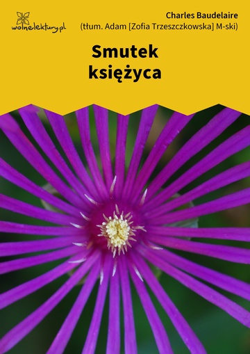 Smutek księżyca