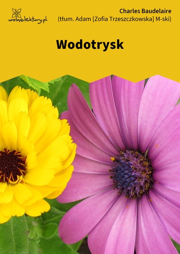 Wodotrysk