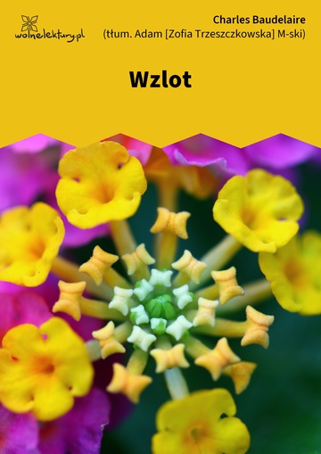 Wzlot