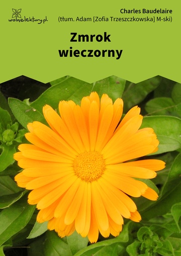 Zmrok wieczorny