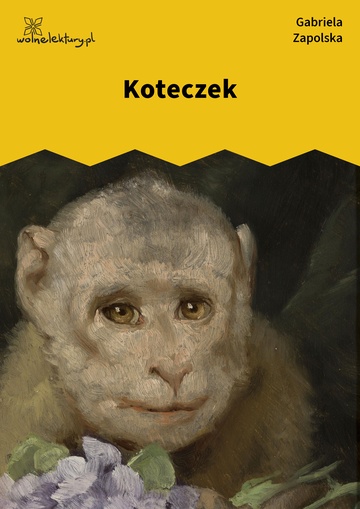 Koteczek