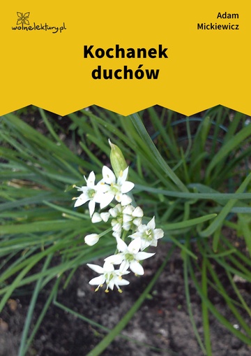 Kochanek duchów