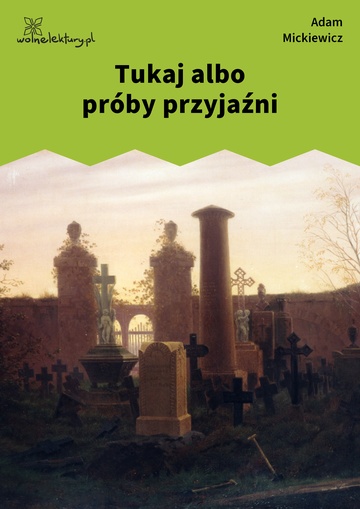 Tukaj albo próby przyjaźni