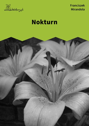 Nokturn