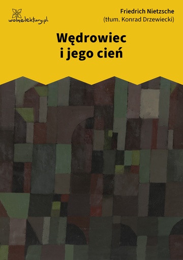 Wędrowiec i jego cień