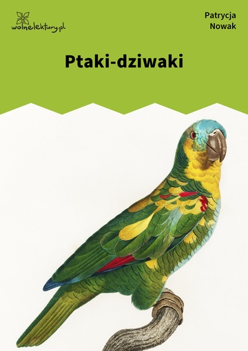 Ptaki-dziwaki