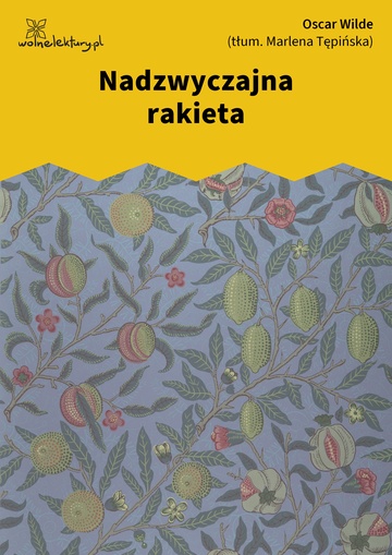 Nadzwyczajna rakieta