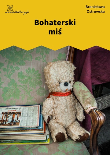 Bohaterski miś