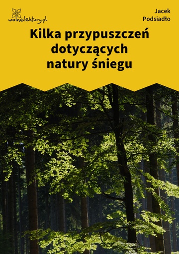 Jacek Podsiadło, Wychwyt Grahama, Kilka przypuszczeń dotyczących natury śniegu