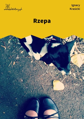 Rzepa