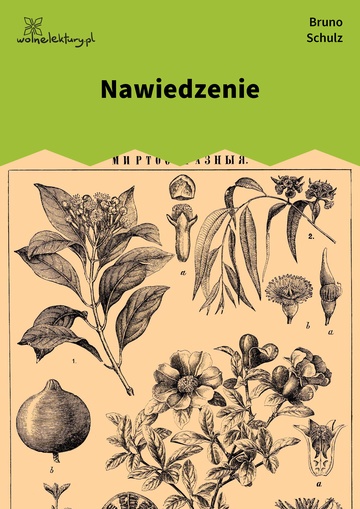 Bruno Schulz, Sklepy cynamonowe (zbiór), Nawiedzenie