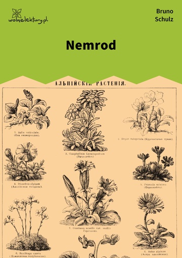 Nemrod