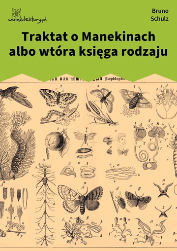 Bruno Schulz, Sklepy cynamonowe (zbiór), Traktat o Manekinach
albo wtóra księga rodzaju