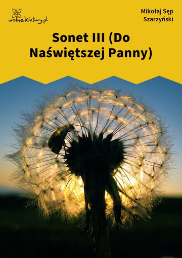 Sonet III (Do Naświętszej Panny)