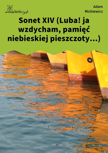 Sonet XIV (Luba! ja wzdycham, pamięć niebieskiej pieszczoty...)