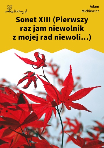 Sonet XIII (Pierwszy raz jam niewolnik z mojej rad niewoli...)