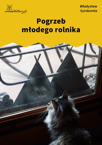 Pogrzeb młodego rolnika