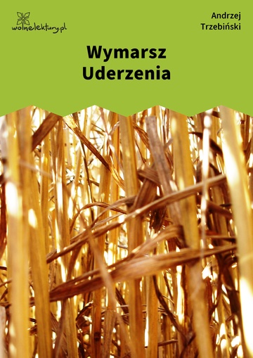 Andrzej Trzebiński, Wymarsz Uderzenia