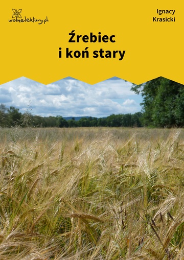 Źrebiec i koń stary